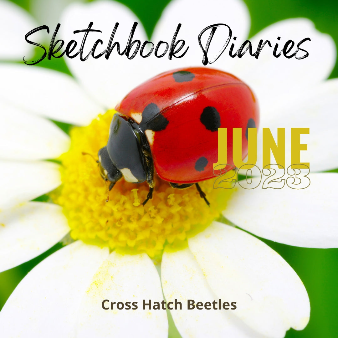 June 23 Sketchbook Diaries | Drawing & Sketching | Online Art Course