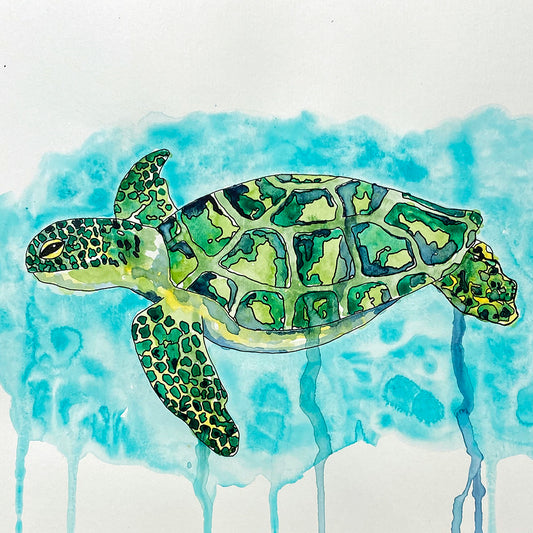 June '24 | Untangle with Watercolour | Paint n Sip | Doodling | Turtle
