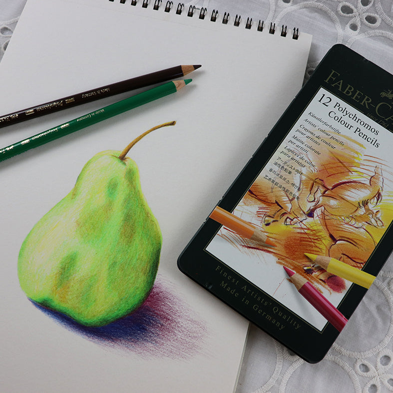 Polychromos coloured pencils for colouring illustrations