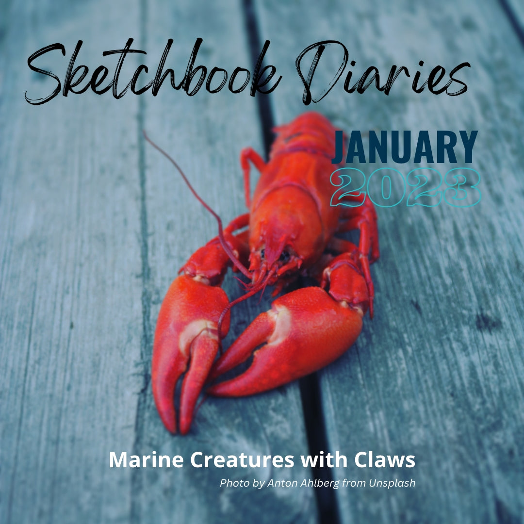 January Sketchbook Diaries | Visual Diary | Online Art Course